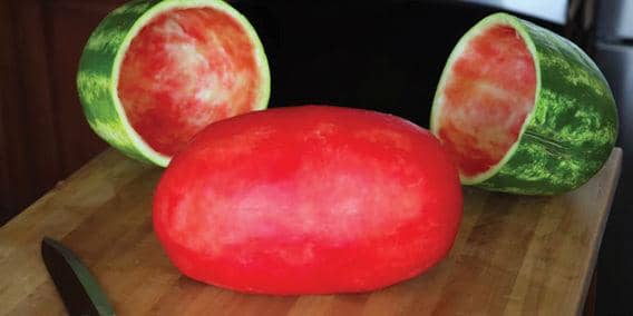 Cara Pria Ini Mengupas Semangka Pasti Membuatmu Merasa Terkhianati