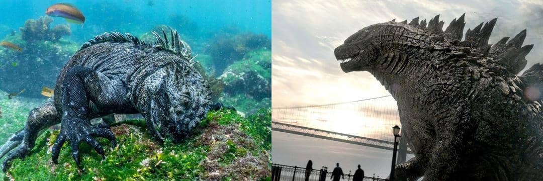 Benarkah Telah Ditemukan Godzilla Asli di Dunia Ini?