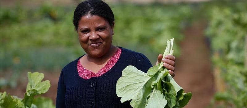 Ternyata 5 Kota Ini Sudah Lebih Maju dari Jakarta dalam Menghadapi Perubahan Iklim!