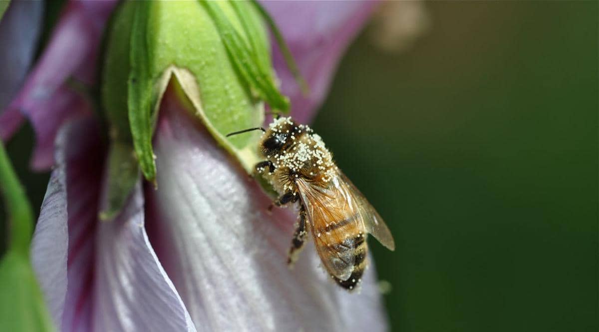 artinsur.blogspot.co.id