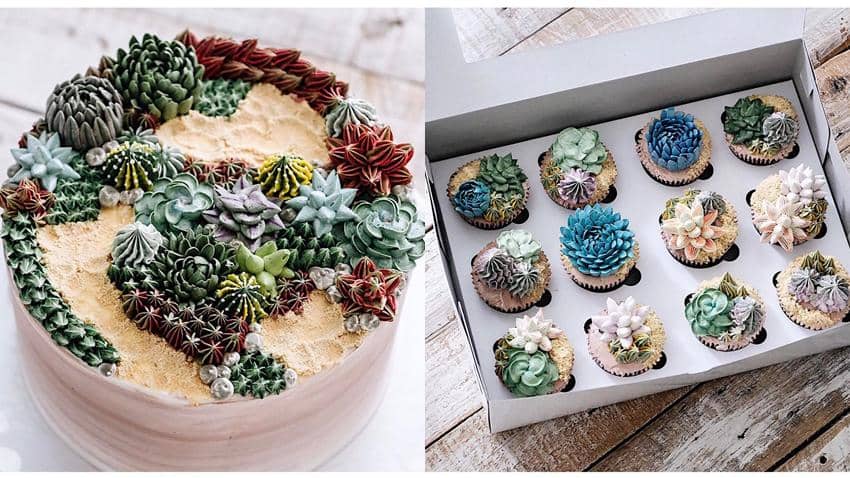 instagram.com/ivenoven