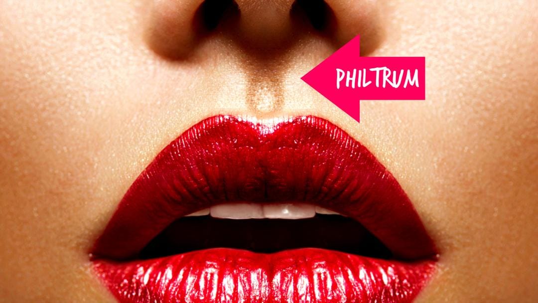 philtrum