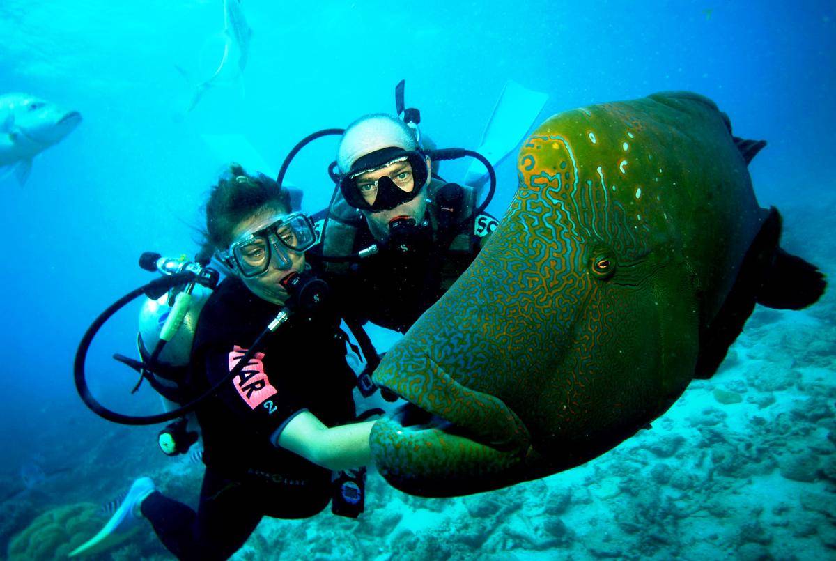 delmardiveclub.co.uk