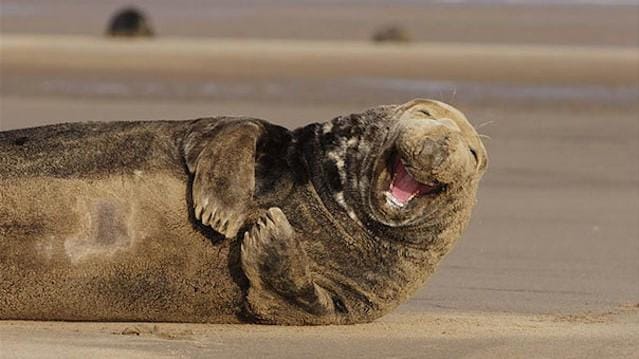 Michael Hutch/nbcnews.com