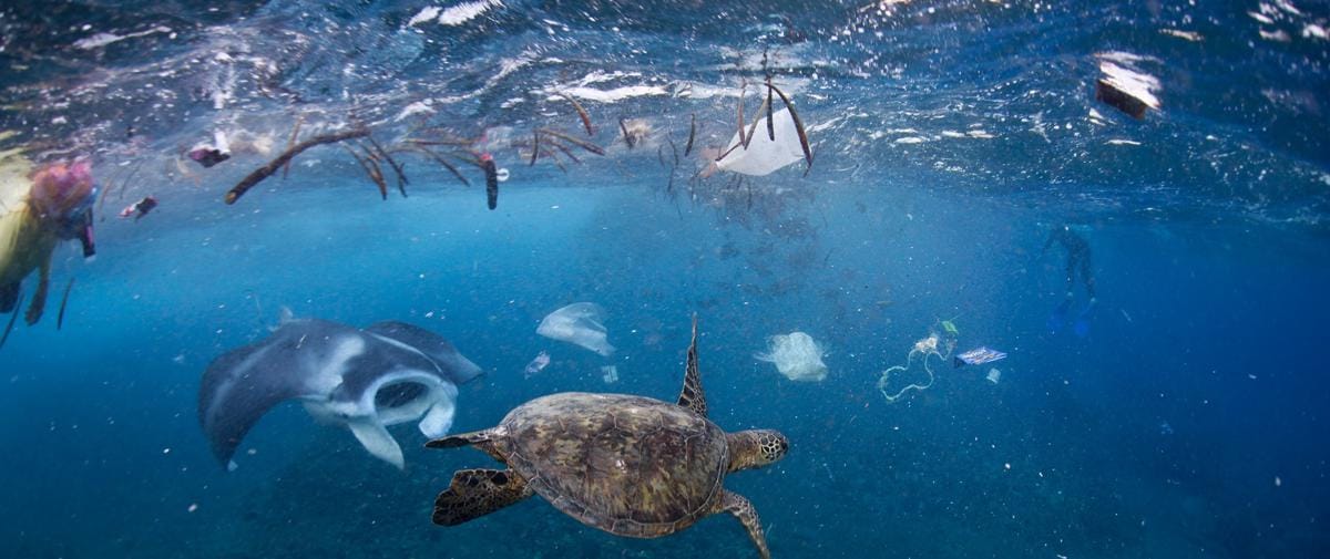 John Johnson/onebreathphoto.com via National Geographic