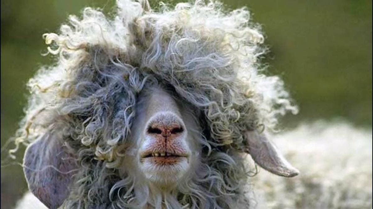 knowledgeoverflow.com