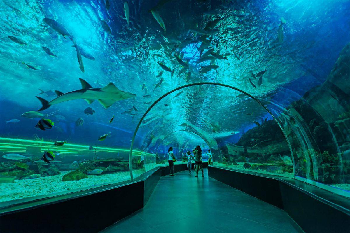 manilaoceanpark.com