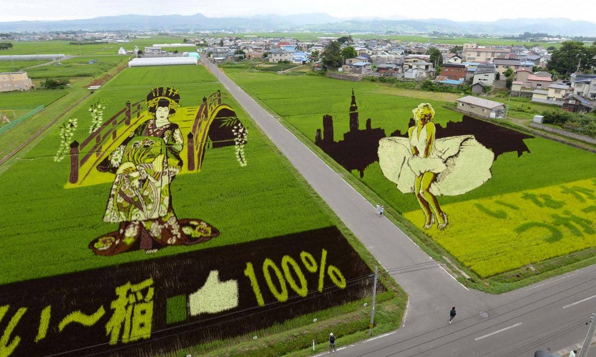 Sawah-sawah di Jepang Ini "Disulap" bak Lukisan, Asli Keren Banget!