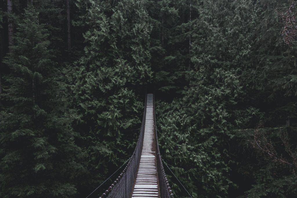 Photo by Glen Jackson on Unsplash