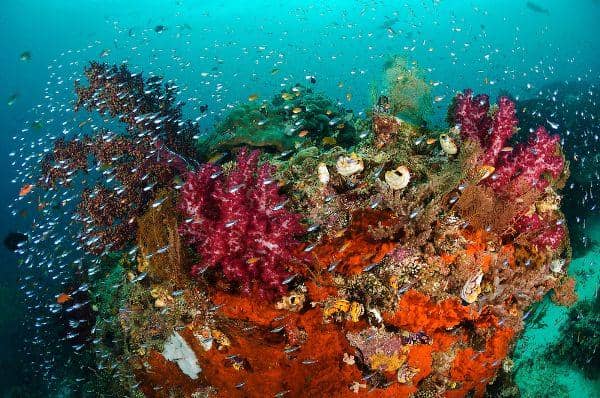 matthew-oldfield-photography.com