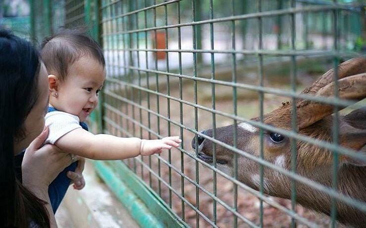 Instagram Ragunan Zoo