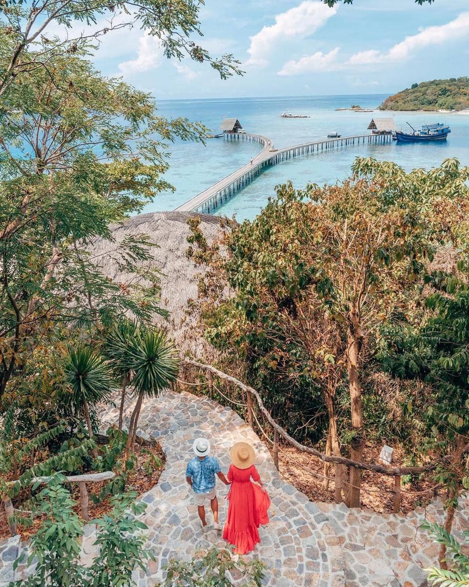 instagram.com/humminglion/