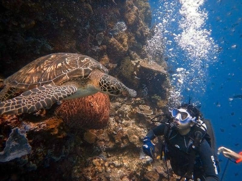 Snorkeling di Taman Nasional Bunaken