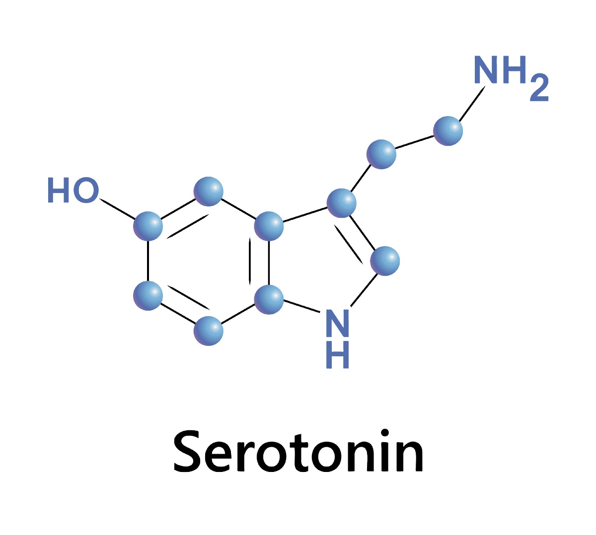 hormon serotonin
