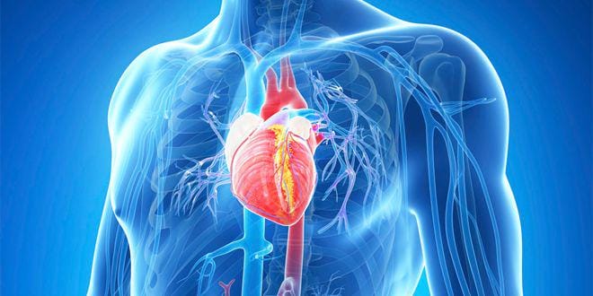 Jantung sehat