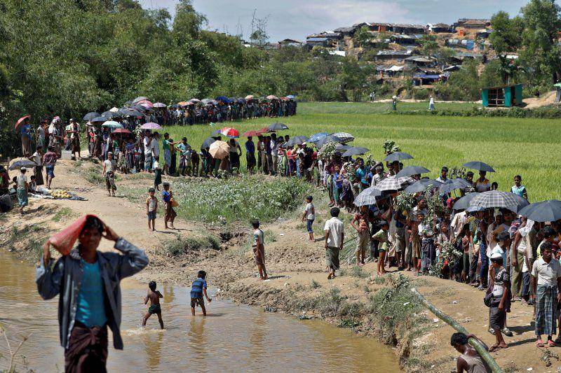 Rohingya