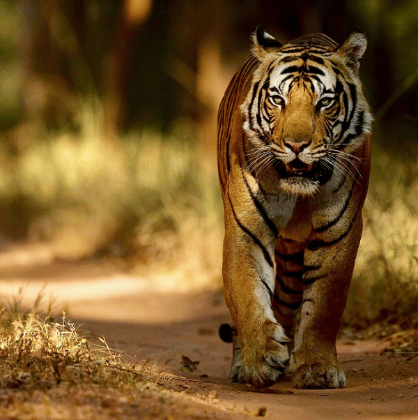 twitter.com/suyashkeshari96