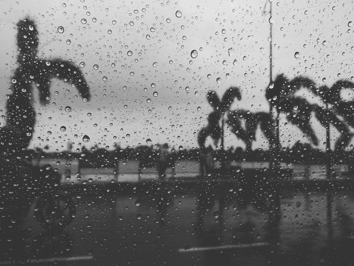 Pexels.com/Swapnil Chakraborty