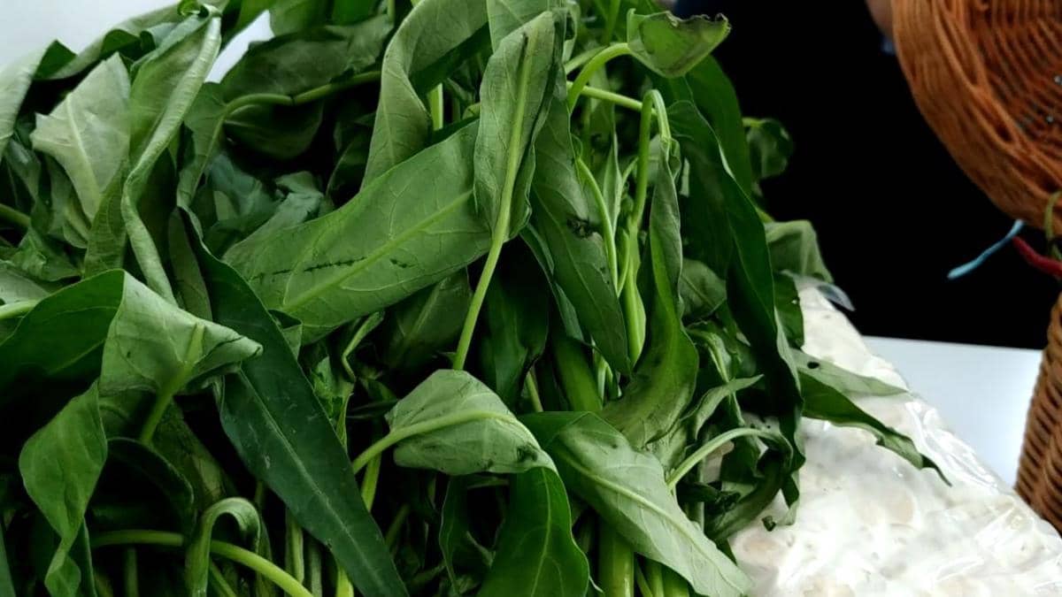 IDN Times/Helmi Shemi