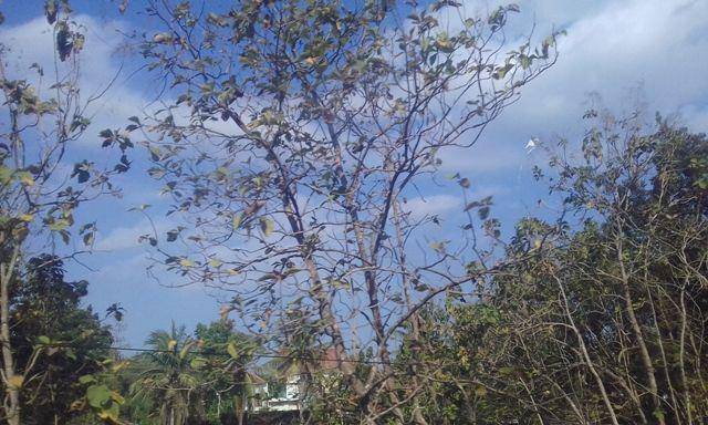 Dokumen pribadi yang diambil saat perjalanan dengan KA Lodaya