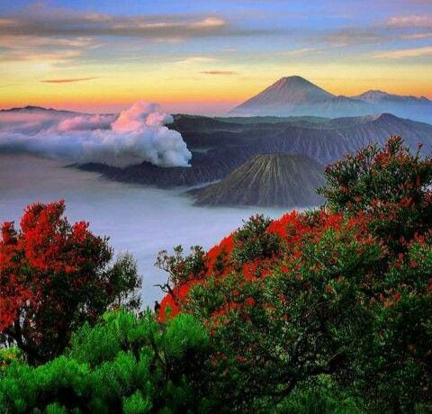 Taman Nasional Bromo Tengger Semeru