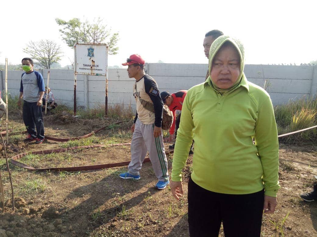 IDN Times/Fitria Madia