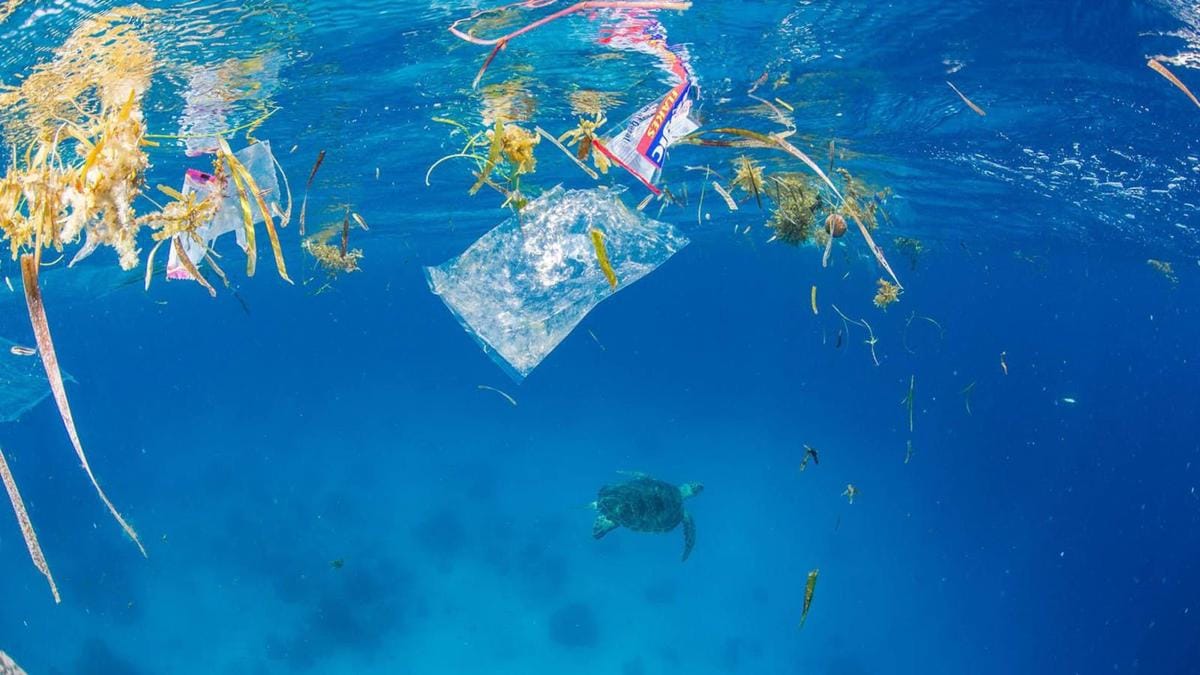 nationalgeographic.com/Steve De Neef