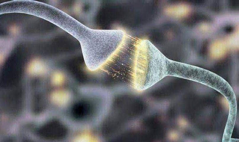 instagram.com/medecine.art