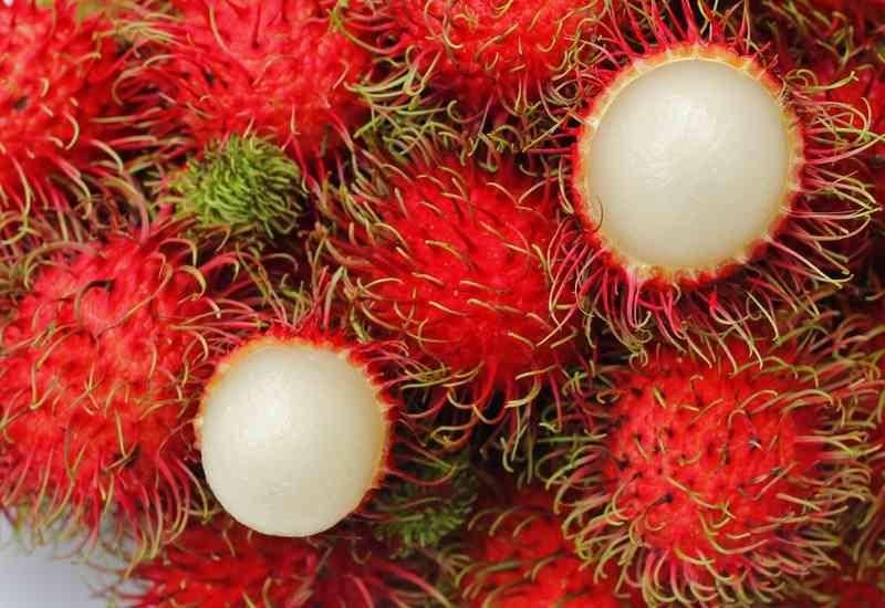Rambutan