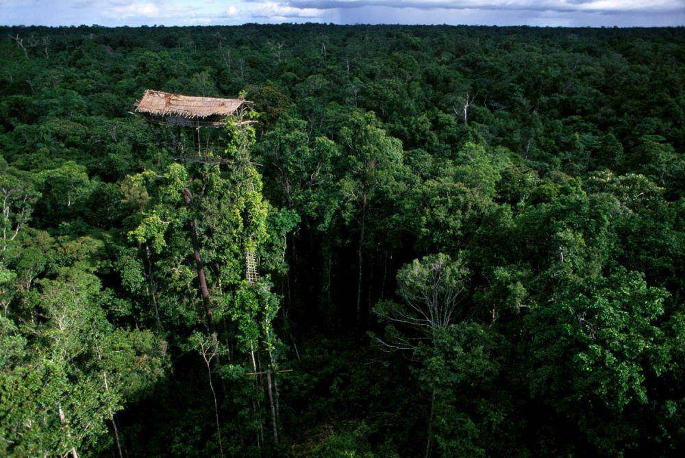 georgesteinmetz.com