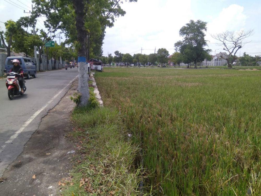 IDN Times/Nofika Dian