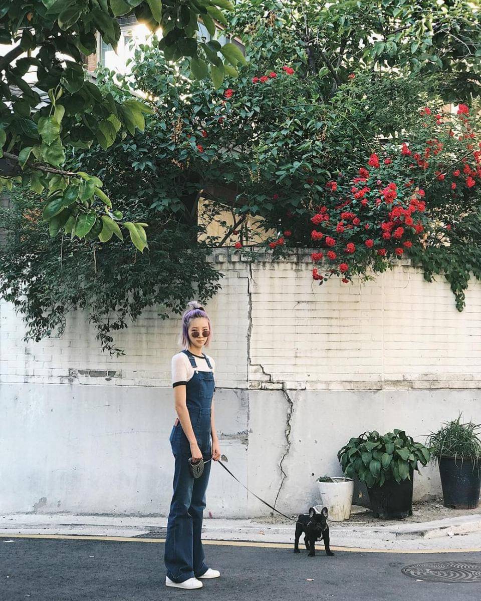 Instagram ireneisgood