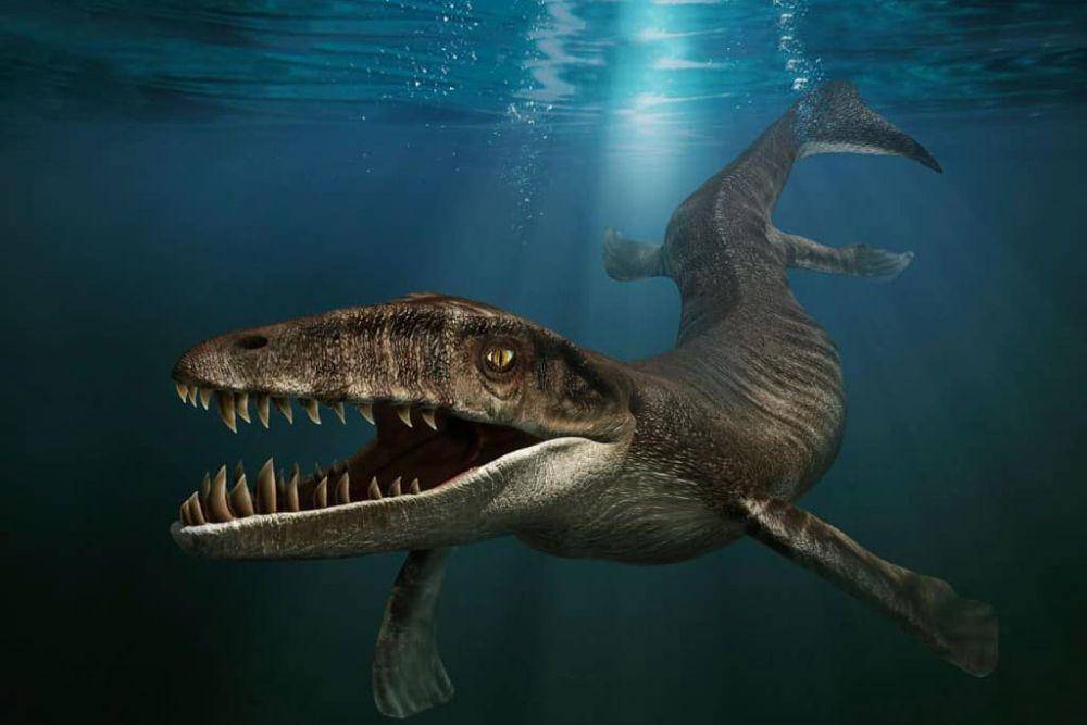 dinosaurus