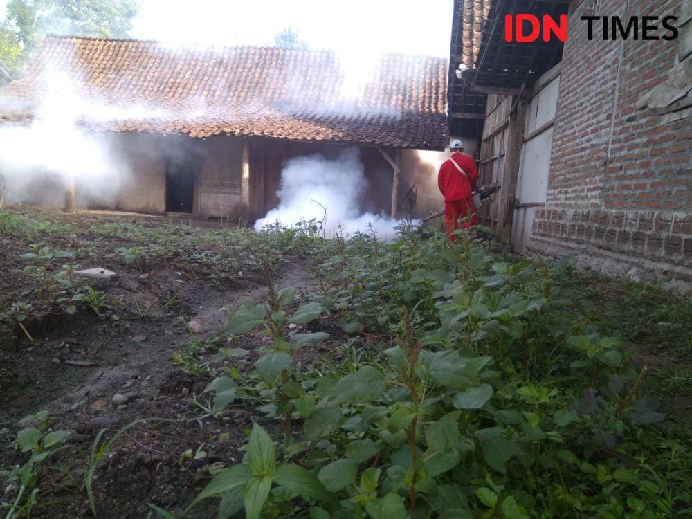 IDN Times/Nofika Dian