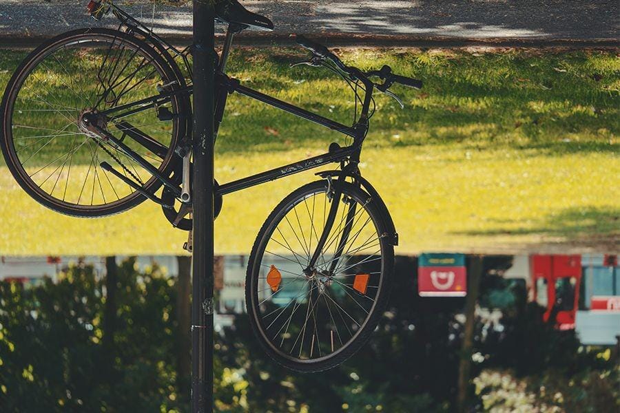 Unsplash/Daniel von Appen