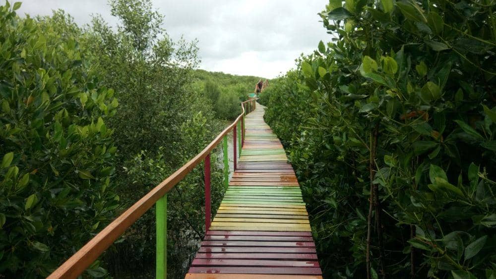 IDN Times / Aan Pranata