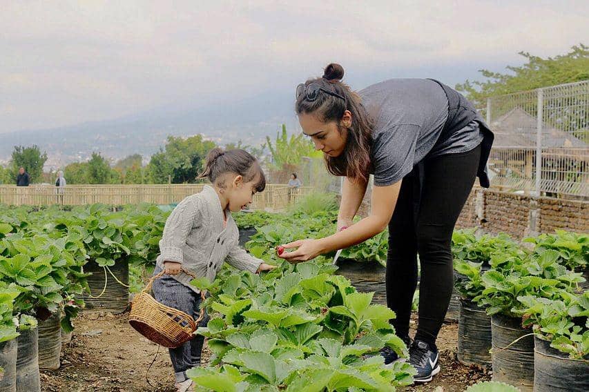 Instagram.com/got_alex