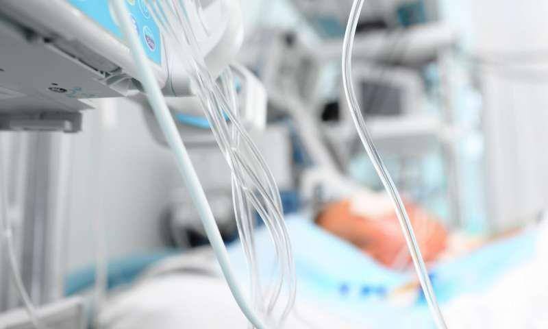 Foto hanya ilustrasi. (medicalxpress.com)