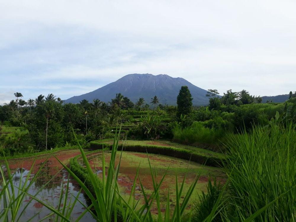 IDN Times/Irma Yudistirani