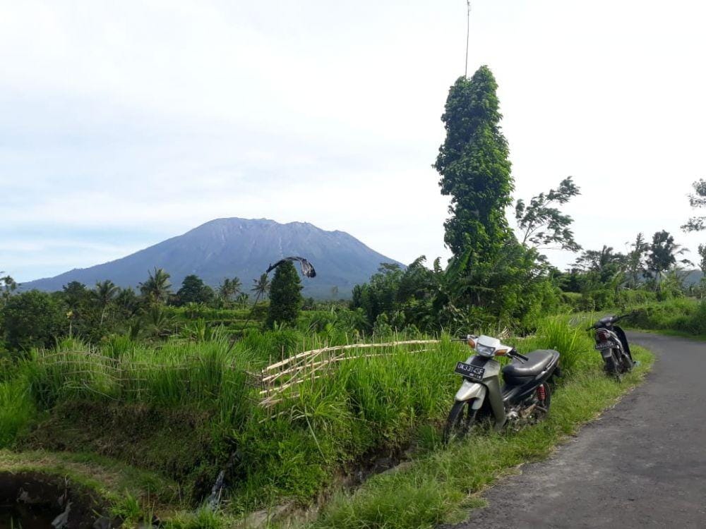 IDN Times/Irma Yudistirani