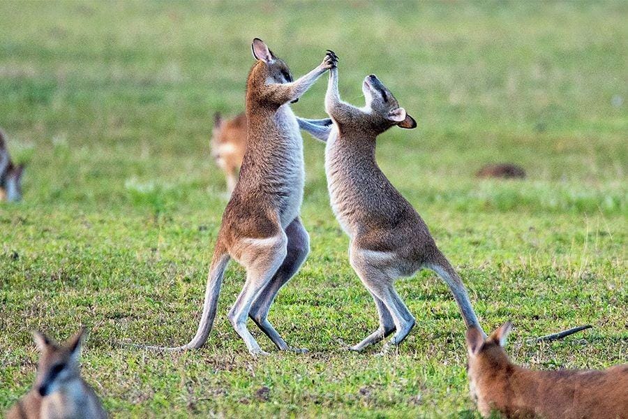 Unsplash/David Clode