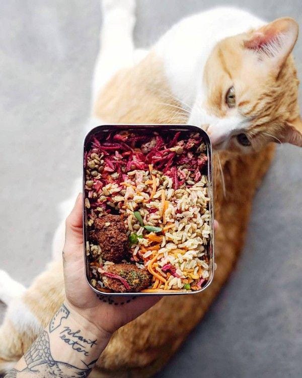 Instagram.com/odilejp