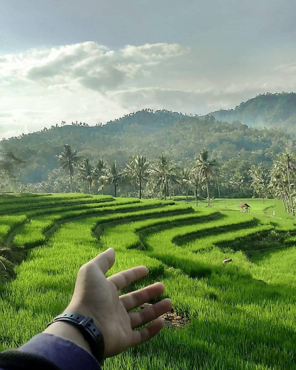 Ilustrasi geografis Trenggalek. instagram.com/visit.trenggalek