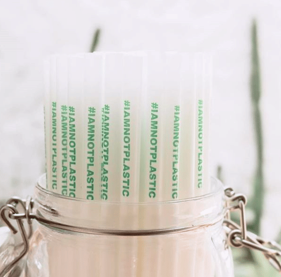 instagram.com/avanieco