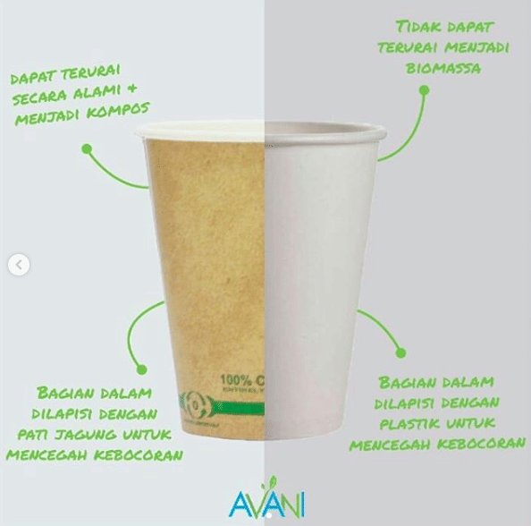 instagram.com/avanieco