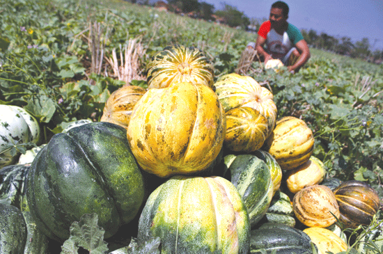 medanbisnisdaily.com