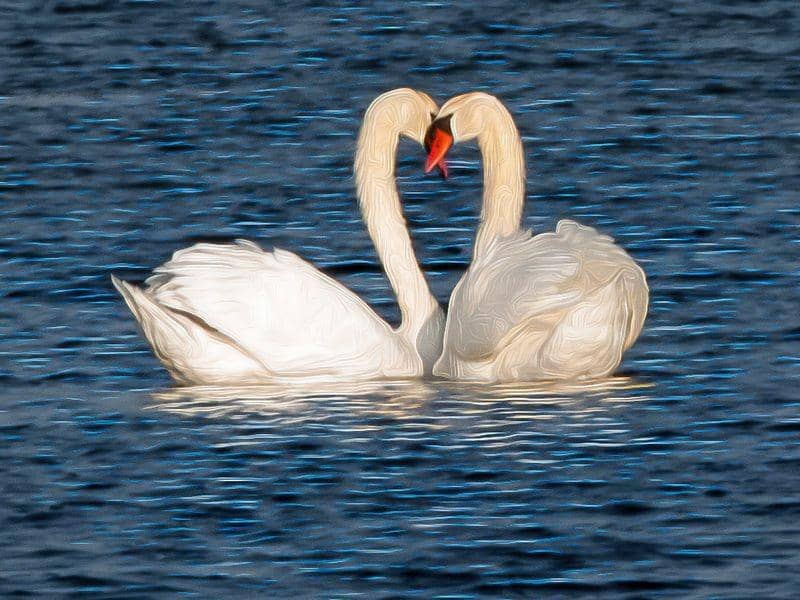 bobnovakphotography.com