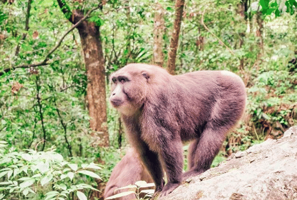 Instagram/ahmadharry