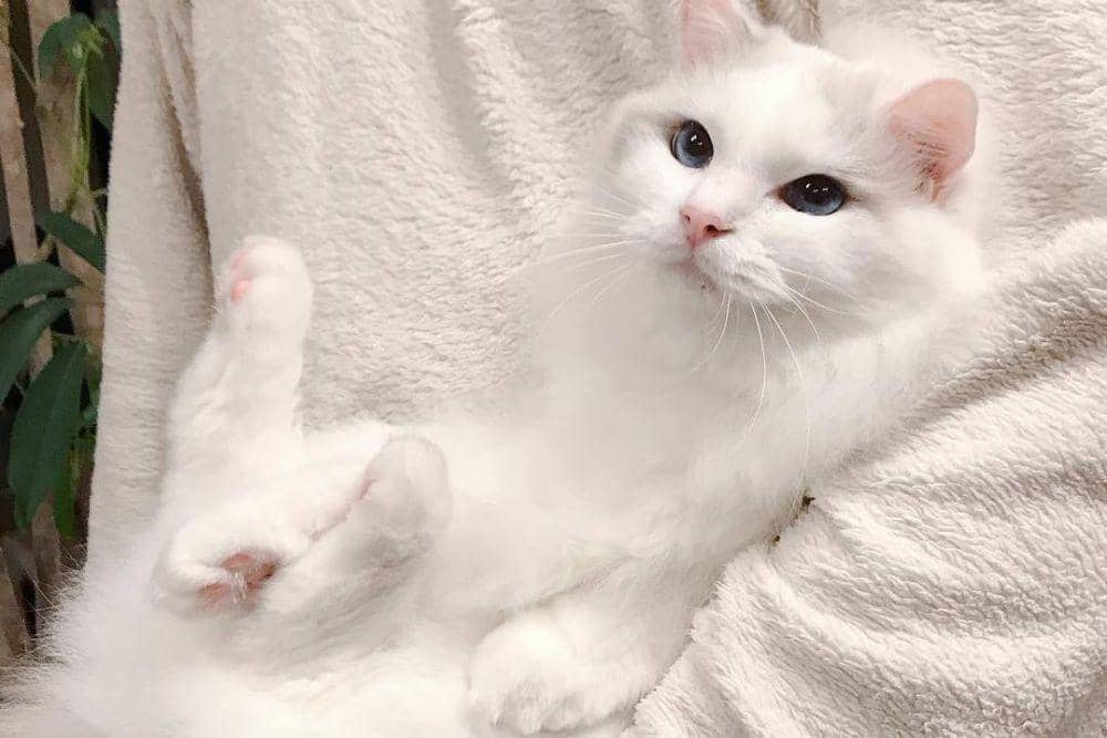 Instagram.com/baron.0723