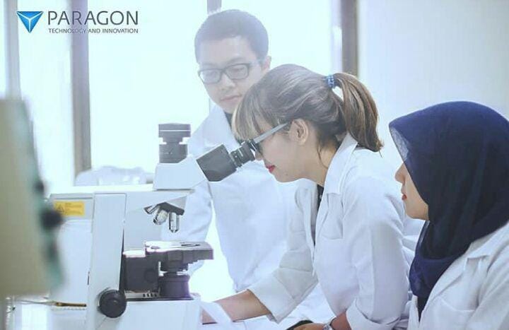 instagram.com/paragon.id